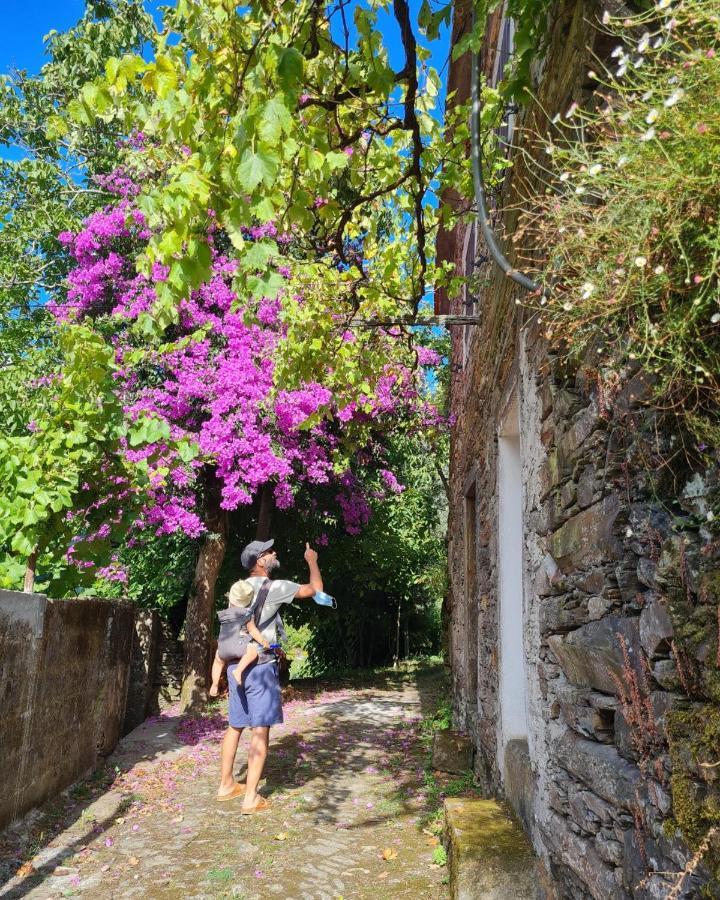 Out Of Town Hostel Castelo de Paiva Bagian luar foto